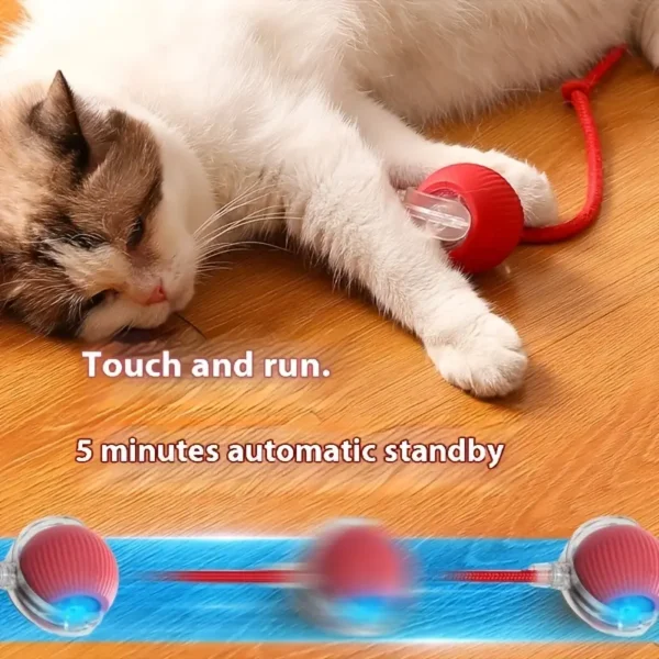 Pelota Interactiva para Gatos y perros de Silicona Recargable con Cola Larga - 3 Modos de Juego y Carga USB para Entretenimiento en Interiores - Imagen 9