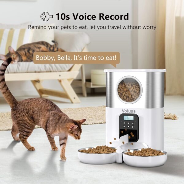 Comedero inteligente automático de alimentos secos para mascotas - Imagen 5