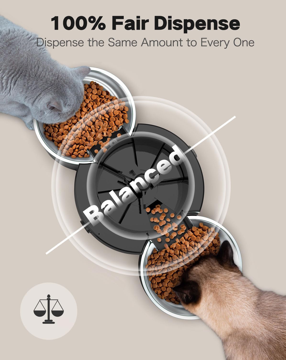 Comedor Surdy Dual 3 L – Alimentación equilibrada para dos gatos - Imagen 3