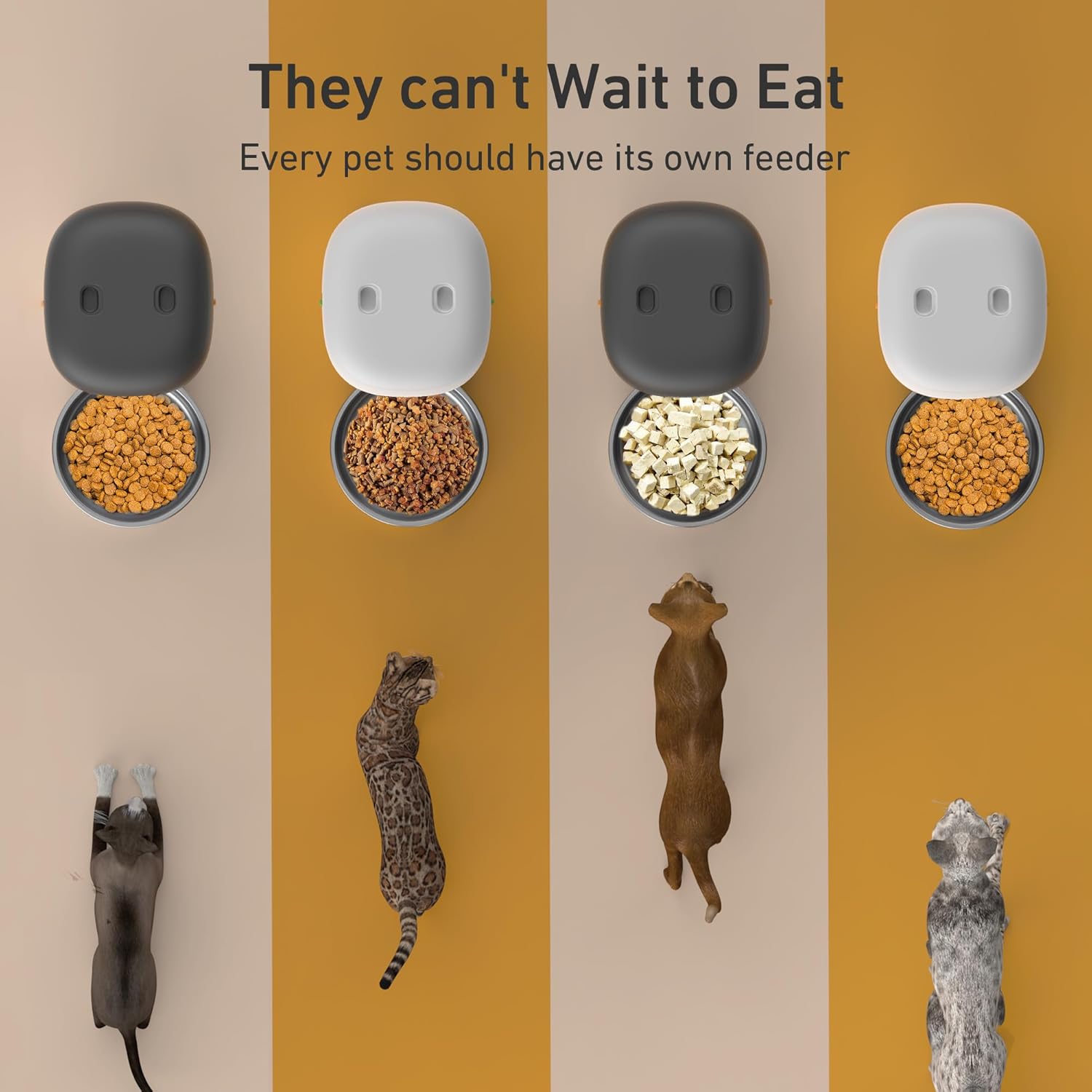 Comedor Automático para Mascotas 2L – Diseño Compacto,  Porciones Ajustables - Imagen 6